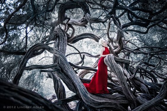 lindsay-adler-fotografia-moda-arte-para-inspirar (2)