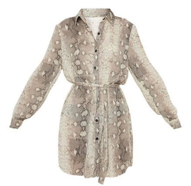 1pec3a7a-3looks-chemise-snake-print-1.jpeg