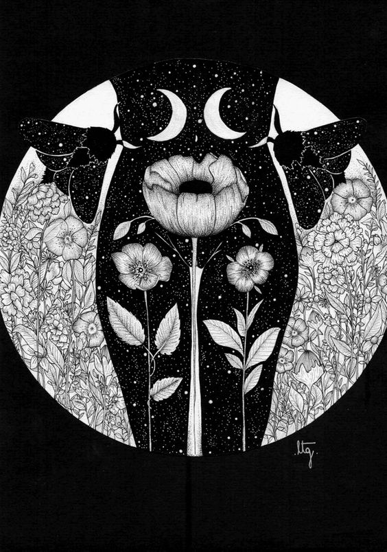 #arte em ilustrações P&B&nbsp;femininas